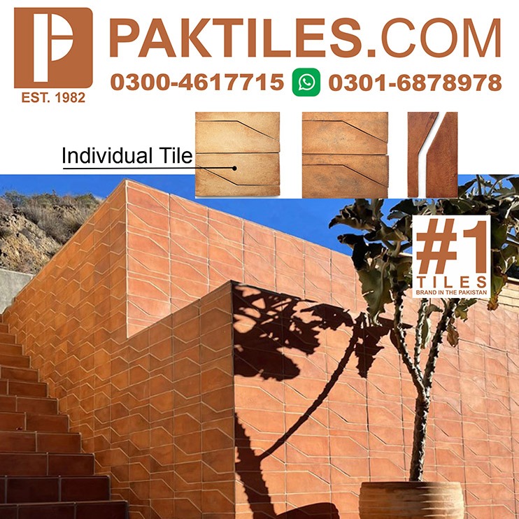 8 Terracotta Wall Tiles in Narowal