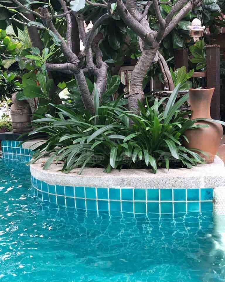 swimming pool tiles price